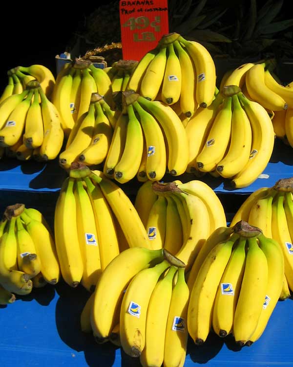 Bananas on Blue