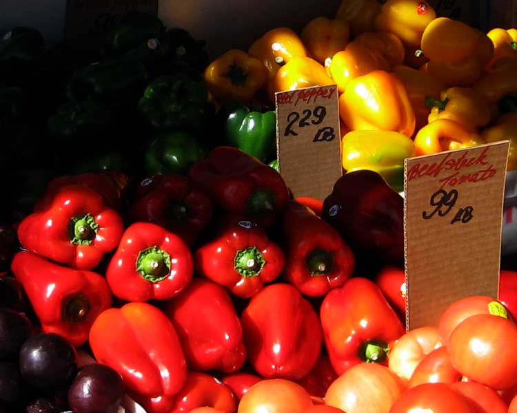 Peppers in Dappled Sun